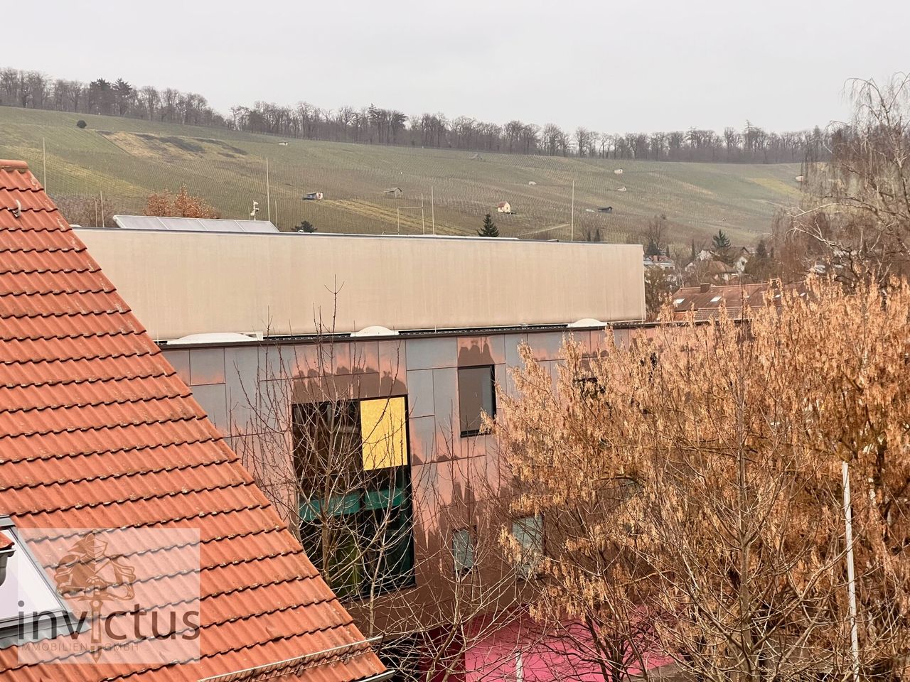 Blick auf die Weinberge