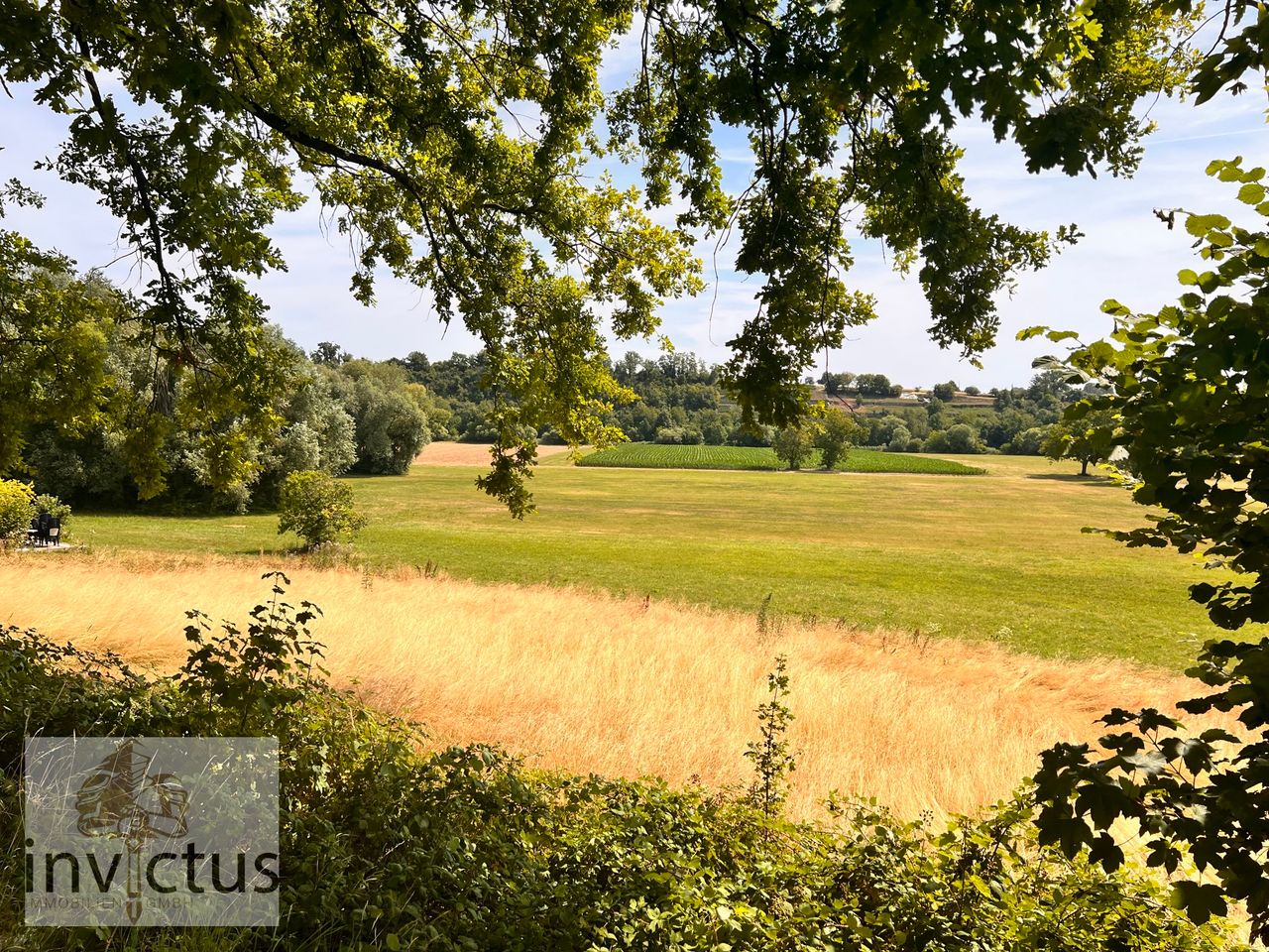 Blick in die Natur