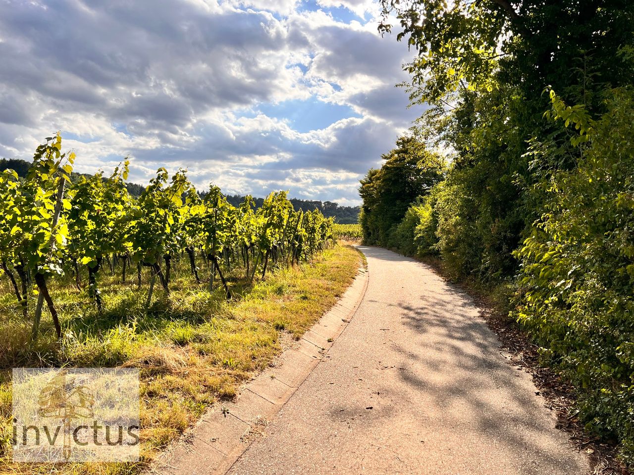 befestigter Weg zum Grundstück