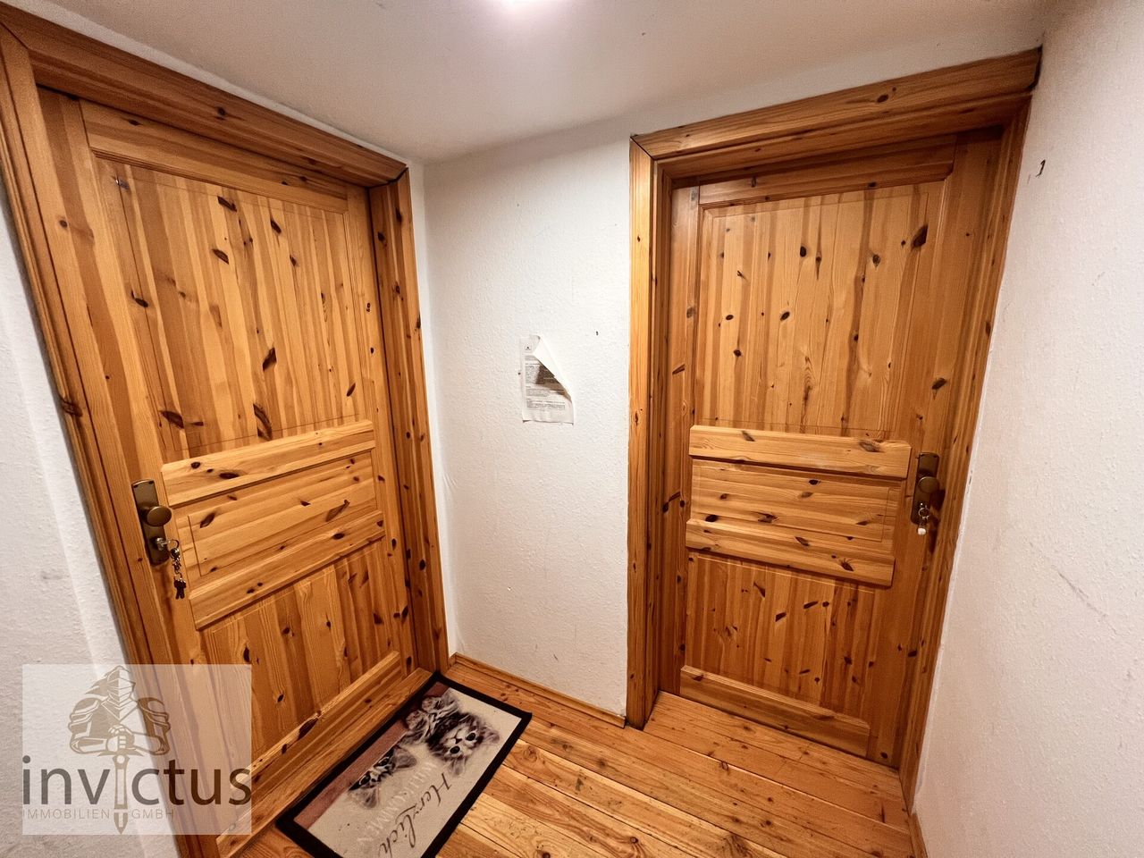 Einganstüren untere Wohnungen