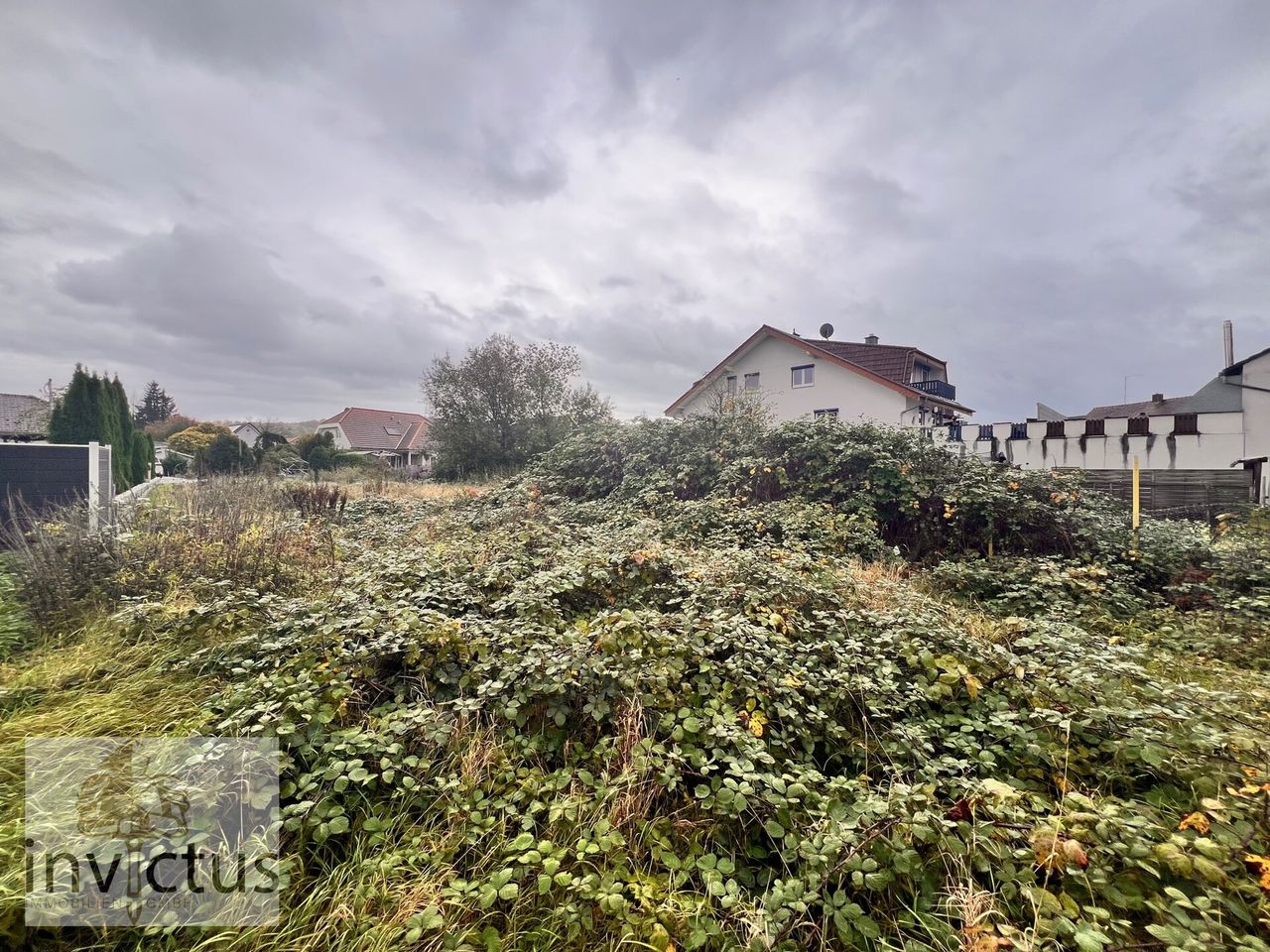 Bild vom Grundstück, inkl. Bewuchs