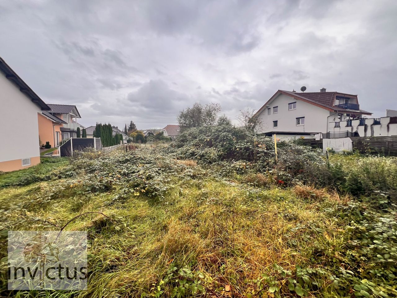 Bild vom Grundstück, inkl. Bewuchs